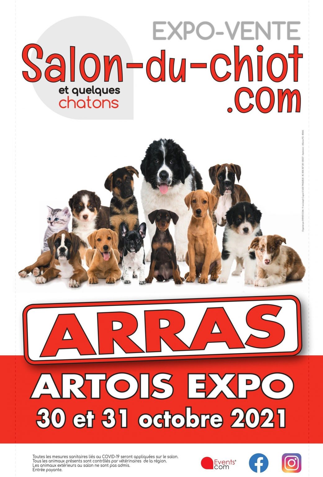 Salon du chiot 2021 Artois Expo, centre d'exposition et de congrès d'Arras Salon du chiot 2021 Artois Expo, centre d'exposition et de congrès d'Arras